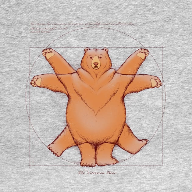 Vitruvian Bear by Tobe_Fonseca